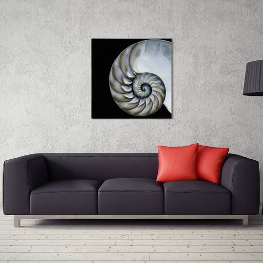 Empire Art Direct 36" x 36" Pearly Nautilus Free Floating Tempered Glass Wall Art